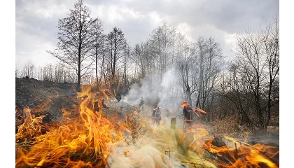 Foto de El sector primario atribuye el aumento del riesgo de incendios al abandono del campo