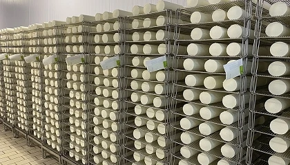 Foto de La industria alerta de los peligros en la ca�da de producci�n de la leche de oveja y de cabra