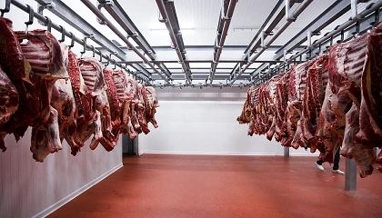 Foto de Reclaman la apertura de un matadero en Valencia tras cerrar los que hab�a en la provincia