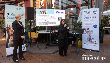 Foto de Caninebeat AI: la Inteligencia Artificial al servicio de los veterinarios para facilitar la detección de soplos cardíacos en perros
