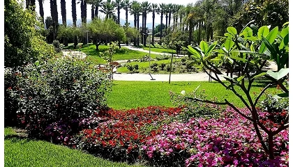 Foto de Motril se incorpora al programa Andalucía en Flor para reforzar la gestión sostenible de sus zonas verdes