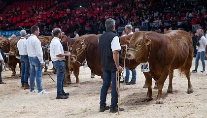 Foto de Sommet de l'�levage convierte la gen�tica animal en el gran protagonista de su programa