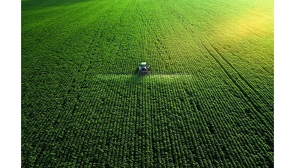 Foto de ¿Cómo acelerar la transformación del sistema agroalimentario sin trasladar todo el coste a los agricultores?