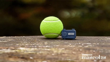 Foto de Mova amplía su ecosistema de cuidado de mascotas con el rastreador GPS SureTrack Pro