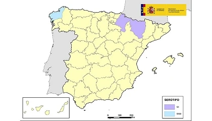 Foto de Confirmada la presencia del serotipo 3 de la lengua azul en Navarra y Huesca