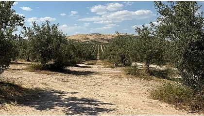 Foto de La valoración ambiental redefine la inversión en fincas rústicas