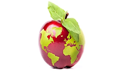 Foto de Andalucía lidera las exportaciones agroalimentarias españolas con 8.165 millones de euros hasta mayo