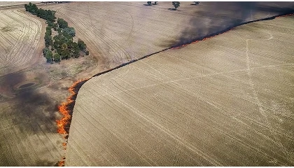 Foto de Agroseguro llama a la tranquilidad tras los incendios y asegura protección para agricultores y ganaderos