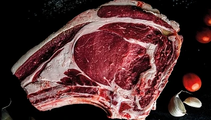 Foto de Agricultura da el visto bueno a la inclusi�n de la raza Angus en la IGP Carne de �vila