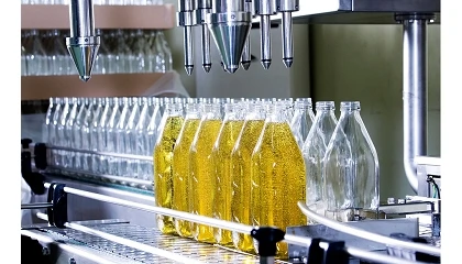 Fotografia de Los envasadores de Anierac comercializan 159 millones de litros de aceites en el segundo trimestre