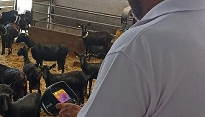 Foto de Aportes de la termograf�a en las instalaciones ganaderas: �qu� materiales ayudan a mitigar el calor en el interior de mi nave?