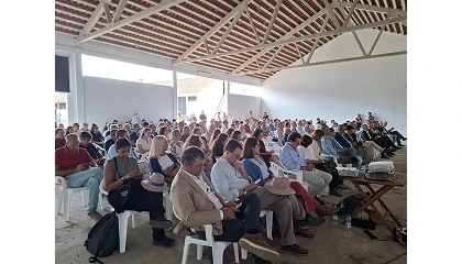Foto de Dia de Campo do InovMilho demonstra inova��o na cultura do milho