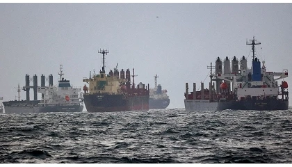 Foto de La guerra entre Rusia y Ucrania en el mar Negro dispara un 20% el precio del trigo