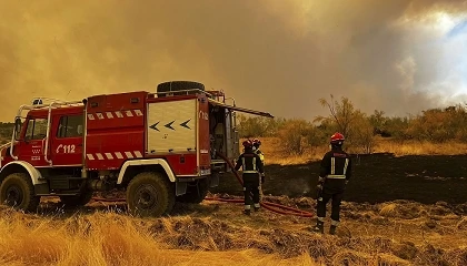 Foto de El acceso al ganado es el principal impacto para el campo en los fuegos del centro peninsular