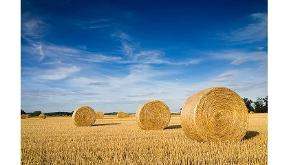 Foto de La PAC 2026 consolida los ecorregímenes en el 88% de la superficie declarada