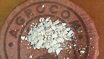 Foto de De la vi�a al quir�fano: desarrollan un biomaterial con restos de poda de uva Tintilla para regenerar huesos