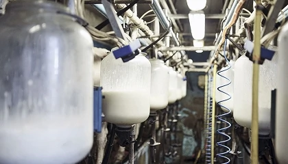 Foto de Solicitan medidas para acabar con las desigualdades en la cadena de valor de la leche