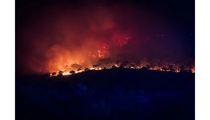 Foto de Los ingenieros agr�nomos advierten de que los incendios comprometer�n la actividad agr�cola y ganadera durante a�os