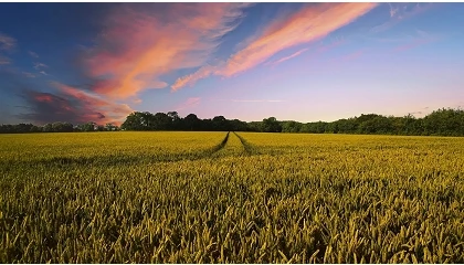 Foto de La UE impulsa un uso más eficiente de los fertilizantes con más ayudas y asesoramiento técnico
