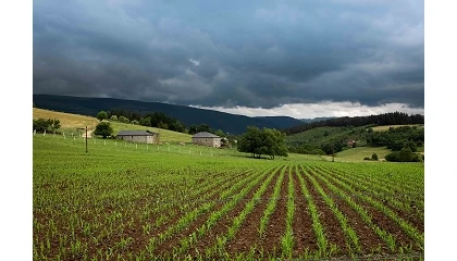Foto de Asturias concede 7,5 millones en ayudas para impulsar 53 proyectos agroalimentarios y forestales