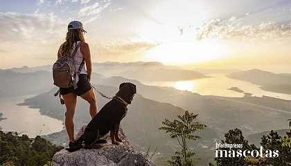 Foto de La amistad no entiende de especies: planes para reforzar el vínculo con los animales de compañía