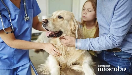 Foto de Boehringer Ingelheim presenta EkoVet+ | Caninebeat AI a la comunidad de cardi�logos veterinarios