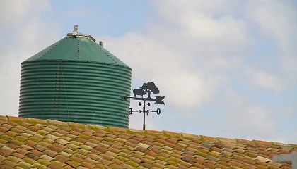 Foto de La patronal del porcino pide �convivencia� con las bodegas de la Ribera del Duero