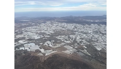 Foto de El verano en los invernaderos: preparaci�n de la pr�xima campa�a y m�xima prevenci�n frente al calor