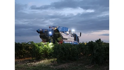 Foto de La vendimia 2026 ante las sucesivas olas de calor: adelanto hist�rico y recogida nocturna