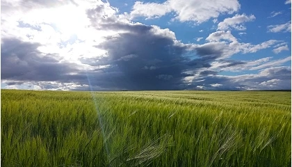 Foto de Ayudas para la compra de fertilizantes: hasta 92,5 euros por hectárea en regadío y 38,33 en secano