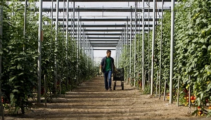 Foto de El empleo agrario pierde m�s de 40.000 afiliados en julio mientras el paro sube ligeramente