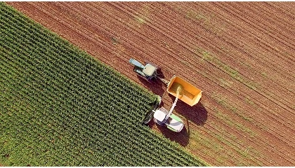 Foto de Los agricultores mayores de 65 años ya representan casi el 40% de los perceptores de la PAC en España
