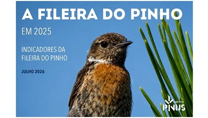 Foto de Centro Pinus divulga 11.� edi��o dos Indicadores da Fileira do Pinho