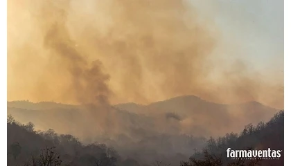 Foto de El COFM, las farmacias y la Consejer�a de Sanidad coordinan la atenci�n farmac�utica a la poblaci�n afectada por los incendios