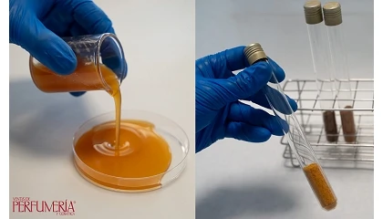 Foto de ITENE crea ingredientes innovadores para cosm�tica y detergencia a partir de residuos de aguacate, tomate o uva
