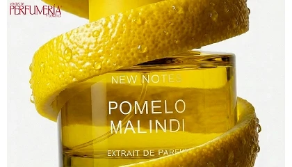 Foto de New Notes presenta su nuevo perfume Pomelo Malindi, un homenaje a la costa de Swahili