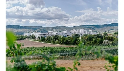 Foto de NÖM integra SAP Ewm en su red logística con Knapp