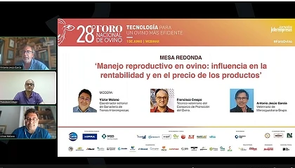 Foto de Manejo reproductivo en ovino: influencia en la rentabilidad y en el precio de los productos