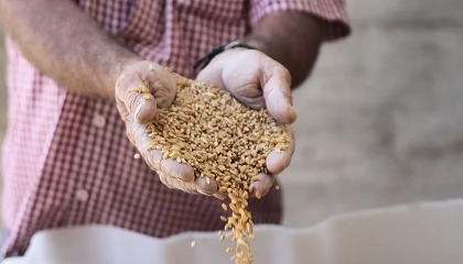 Foto de Alertan de fuertes subidas en los precios de las materias primas para piensos ganaderos