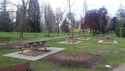 Foto de Vitoria-Gasteiz refuerza el arbolado y el mantenimiento de fuentes ornamentales con 614.880 euros