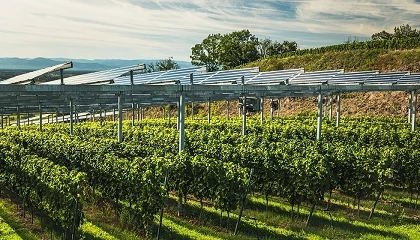 Foto de Proyecto TECSOL-FRUT, un impulso a la agrivoltaica para mejorar el rendimiento y la sostenibilidad de los cultivos frutales