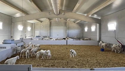 Foto de Medidas b�sicas de bienestar en animales de producci�n ante las altas temperaturas