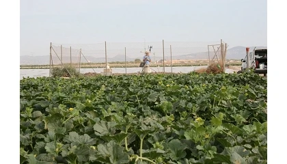 Foto de El SIAM de Murcia bate su r�cord de visitas y refuerza su papel como herramienta para la gesti�n agr�cola