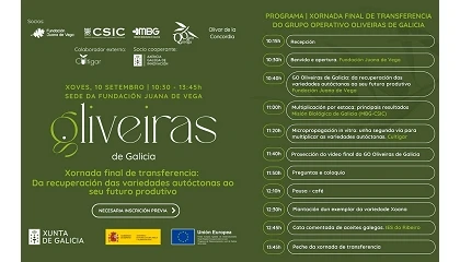 Foto de El proyecto Oliveiras de Galicia presenta los avances en la multiplicaci�n de variedades aut�ctonas de olivo