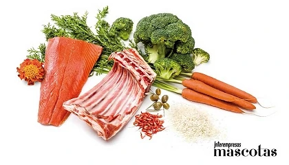 Foto de ¿Por qué las recetas Natura Diet están formuladas sin cereales que aporten gluten?