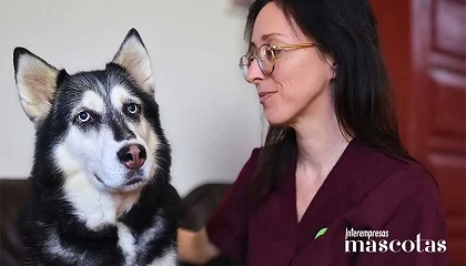 Foto de Chuches y snacks en perros y gatos: cuando el premio también es nutrición