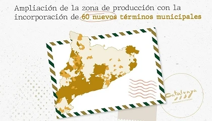 Foto de La DO Catalunya incorpora 60 municipios a su zona de producción