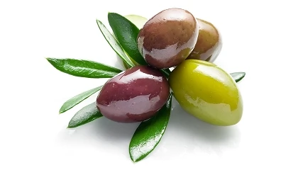 Foto de El aforo de aceituna de mesa para 2026 alcanza las 638.000 toneladas