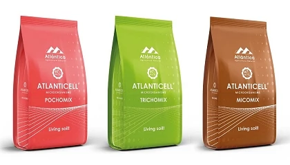 Foto de The Very Best: Atl�ntica Agr�cola