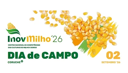 Foto de Solo como ecossistema vivo que pode tornar a agricultura mais resiliente